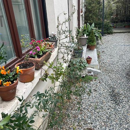Loft Crimea Con Patio Apartment Turin Exterior photo