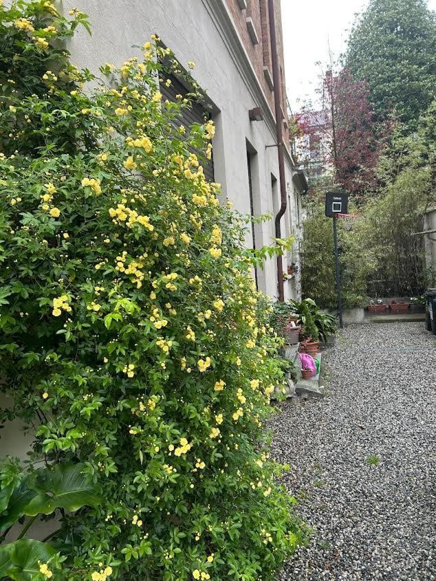 Loft Crimea Con Patio Apartment Turin Exterior photo